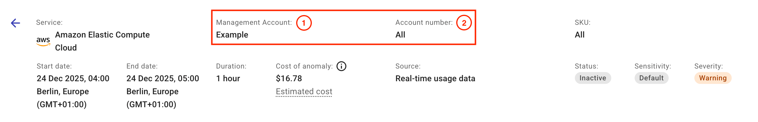 The details page of a cost anomaly - Hierarchy properties