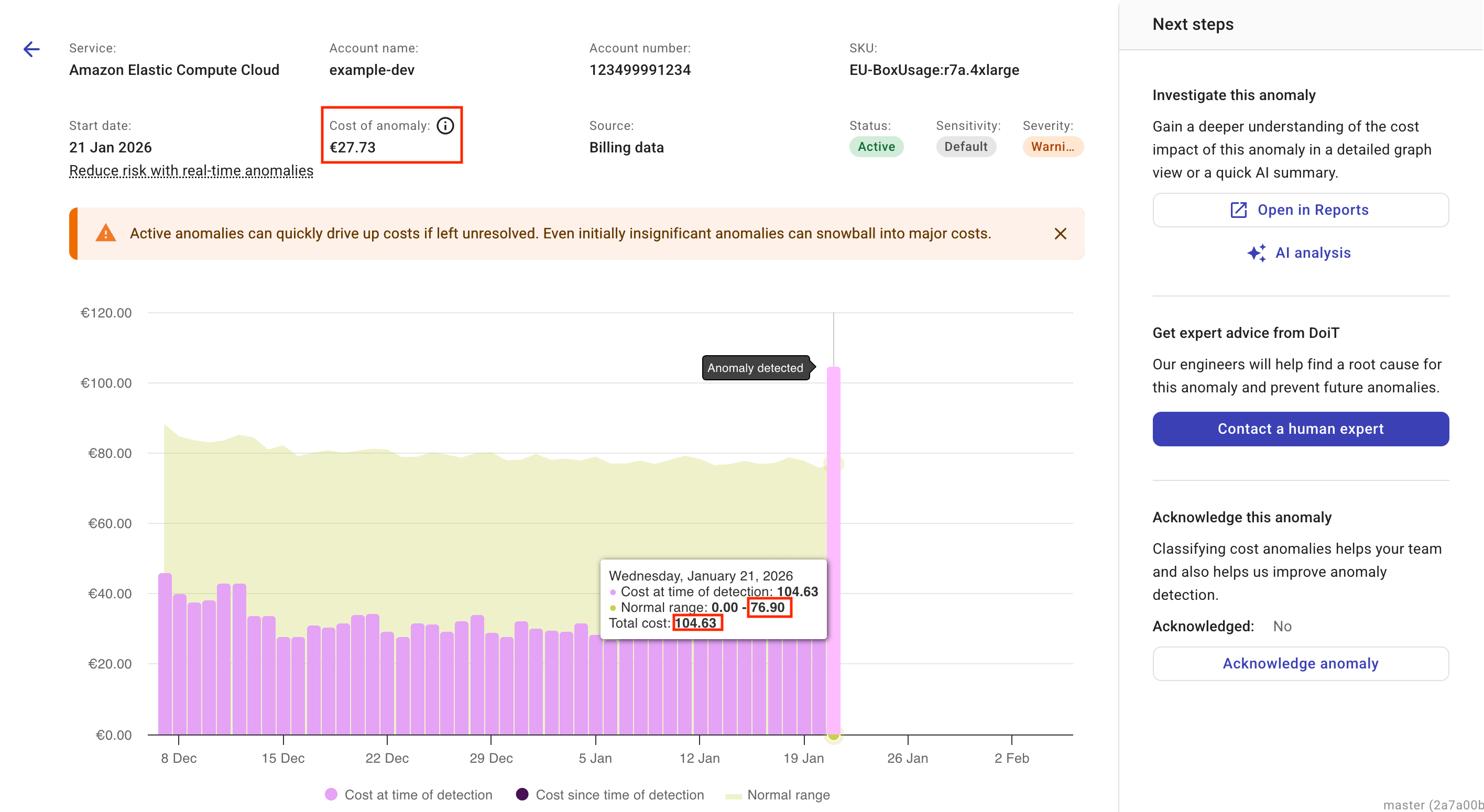 The details page of a cost anomaly