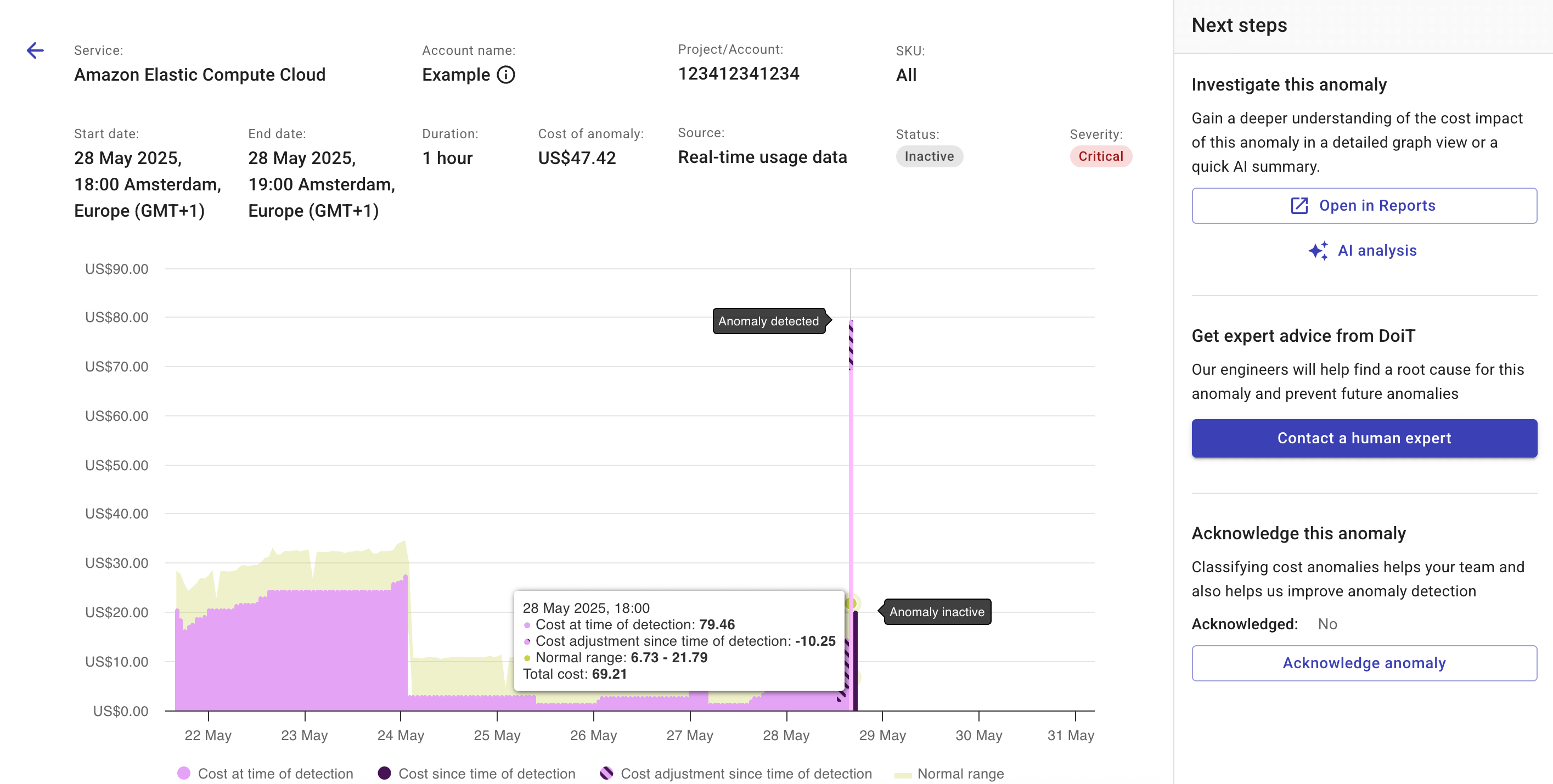 The details page of a cost anomaly