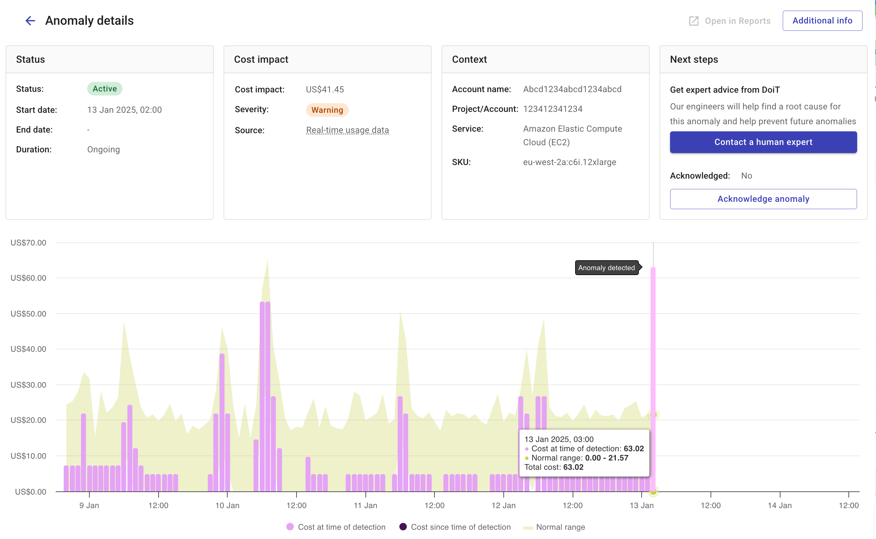 The details page of a cost anomaly