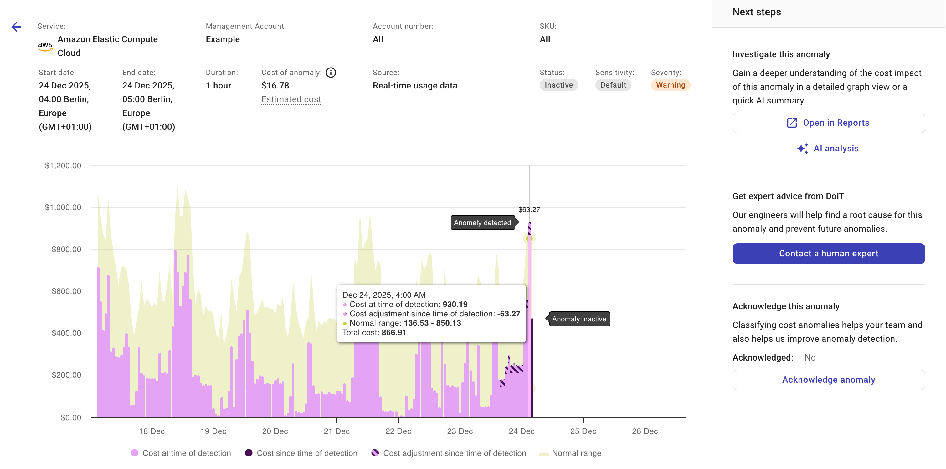 The details page of a cost anomaly