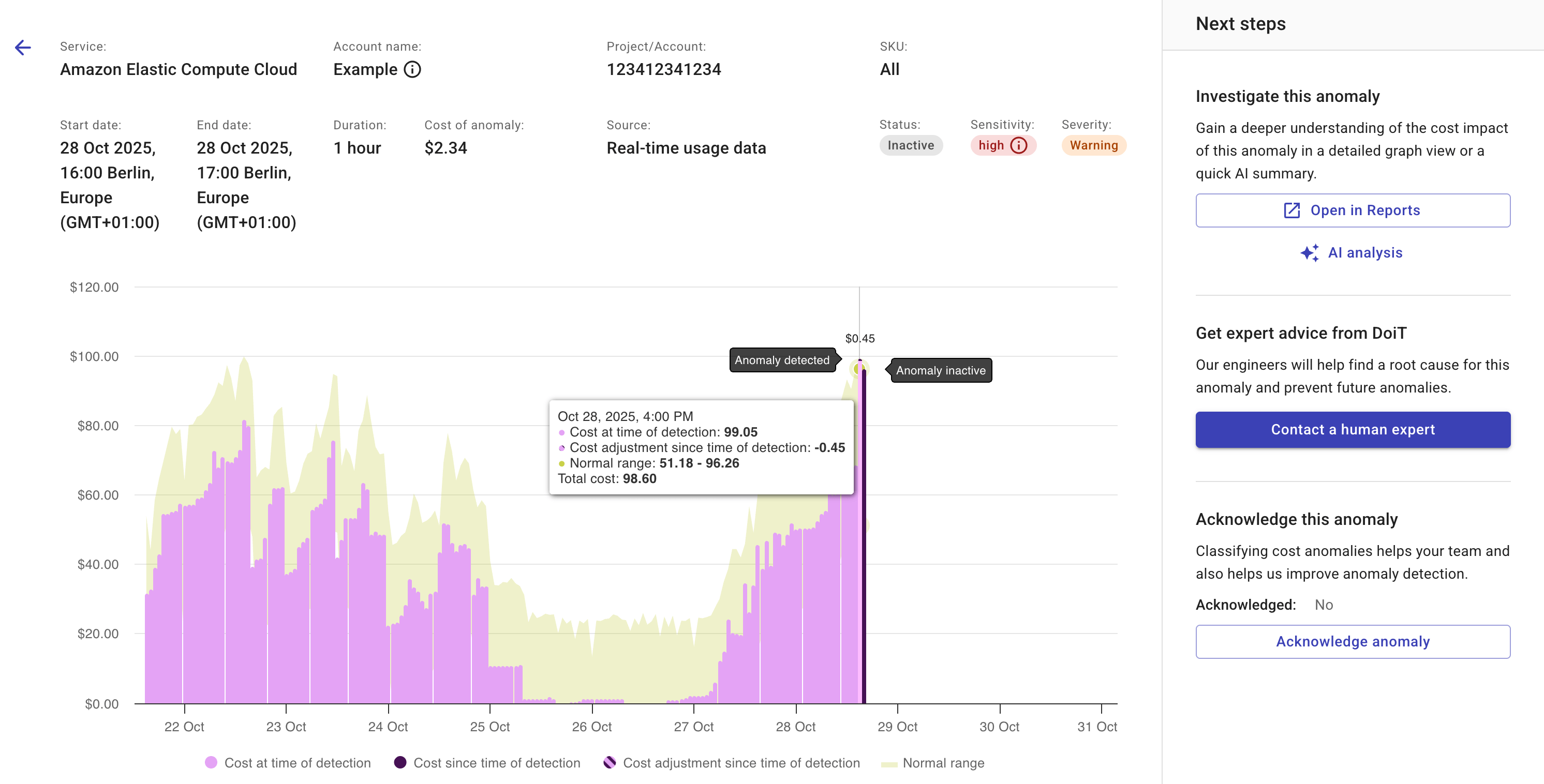 The details page of a cost anomaly
