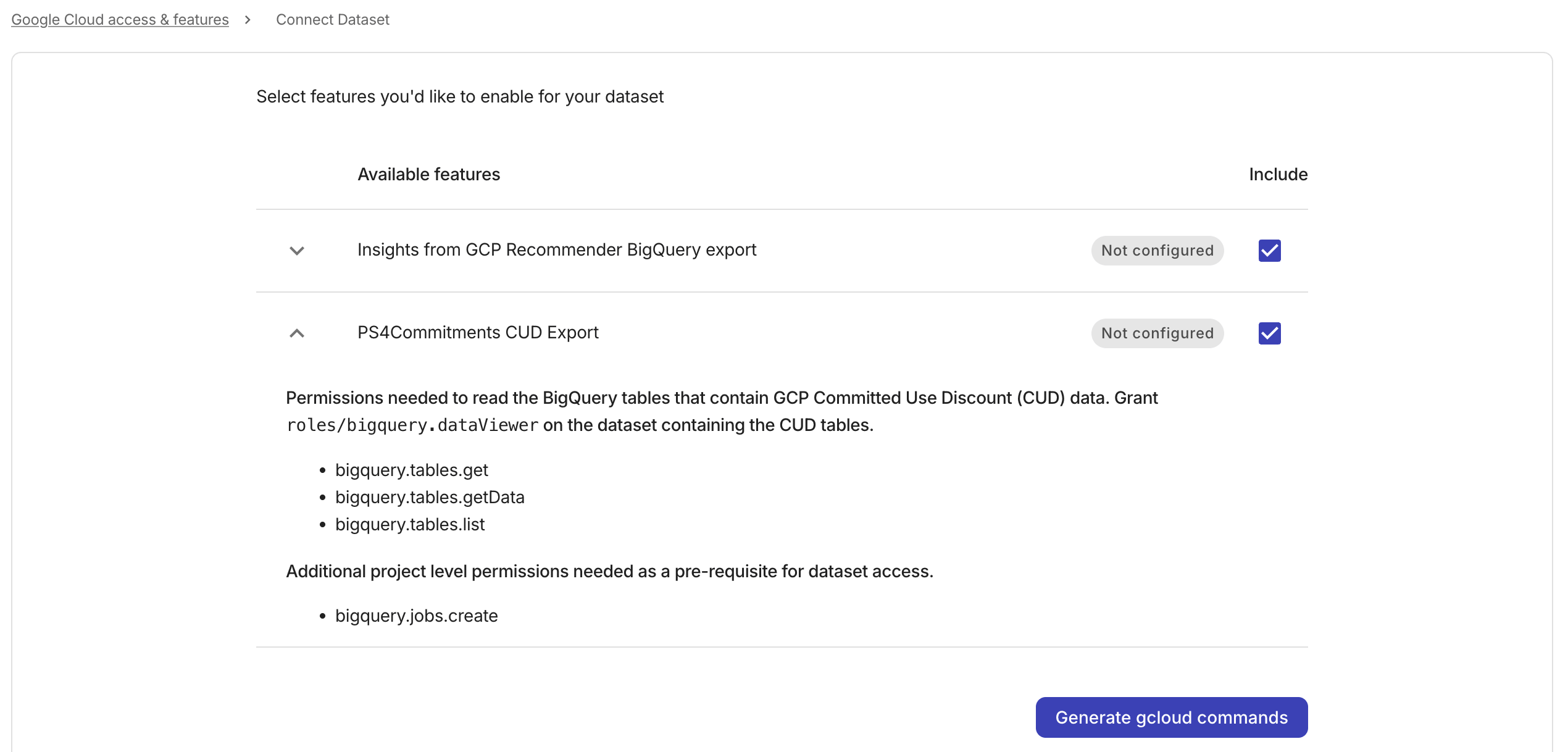 Google Cloud settings new dataset