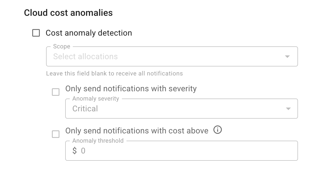 The cost anomalies section