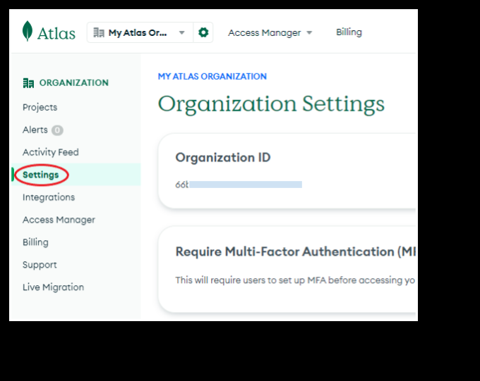 MongoDB Atlas Organization Settings page with the Settings menu item highlighted on the left sidebar