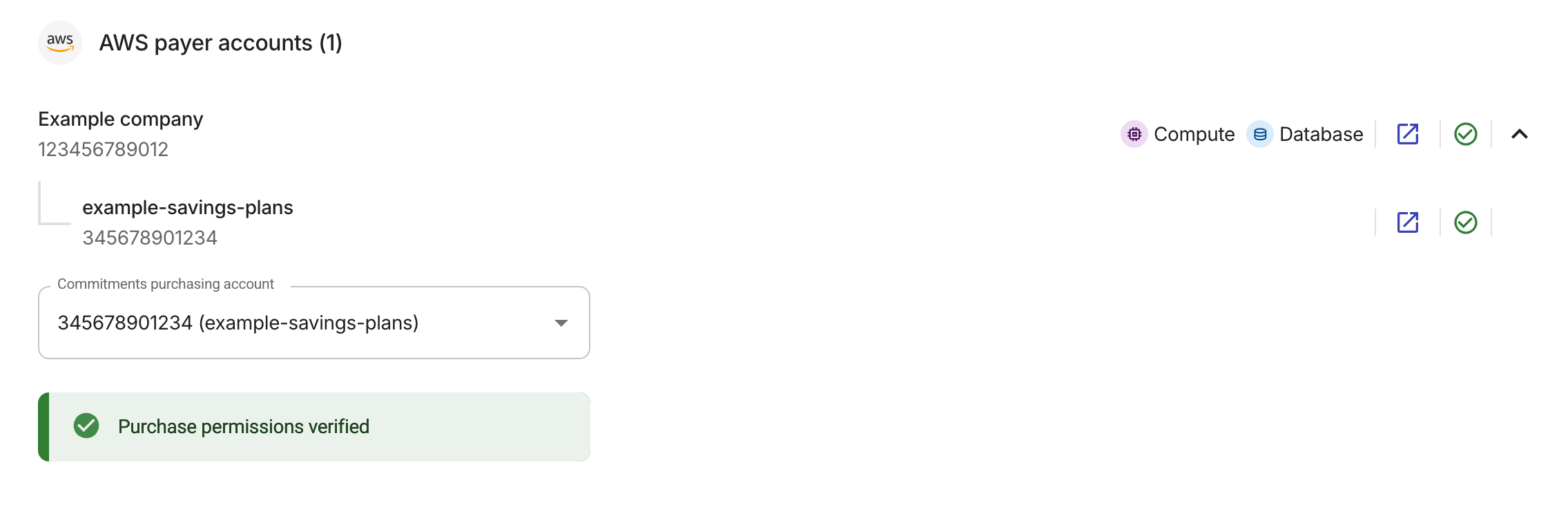 AWS payer accounts