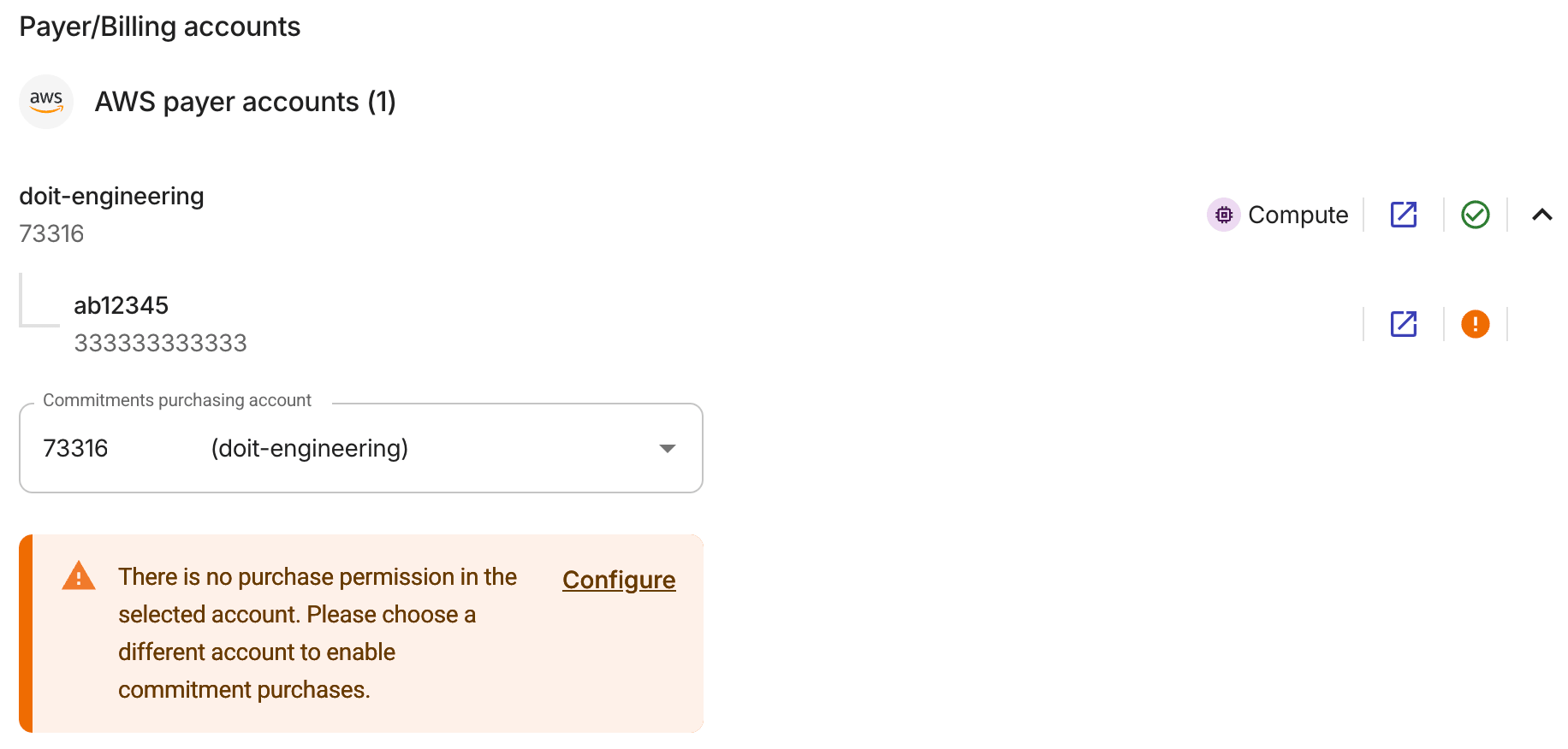 AWS payer accounts
