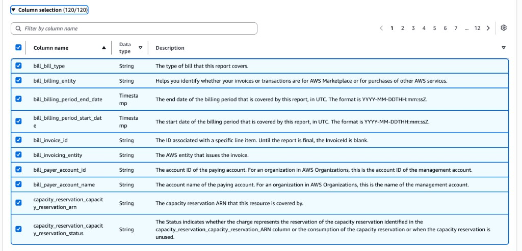 AWS CUR 2.0 Column selection with all columns selected