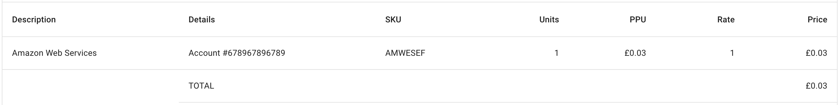 CloudHeath incurred costs on a monthly AWS invoice.