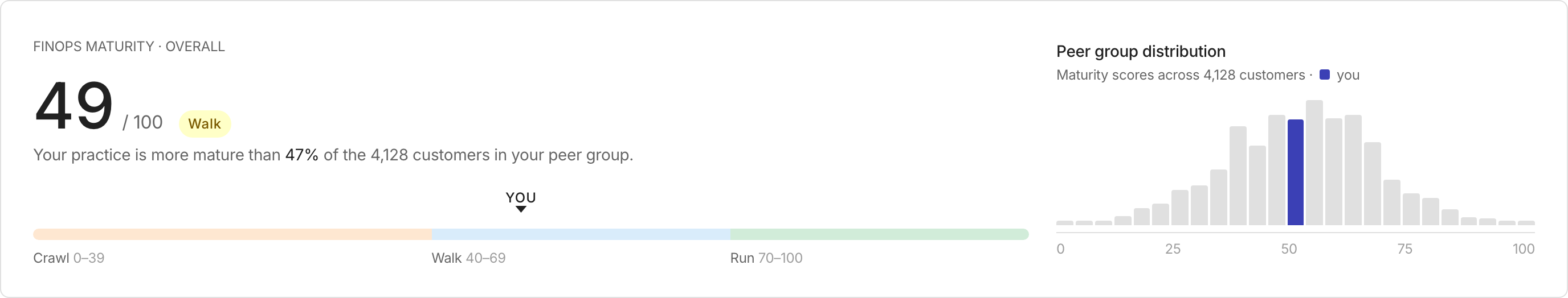 The maturity score card with the stage bar and peer group distribution.