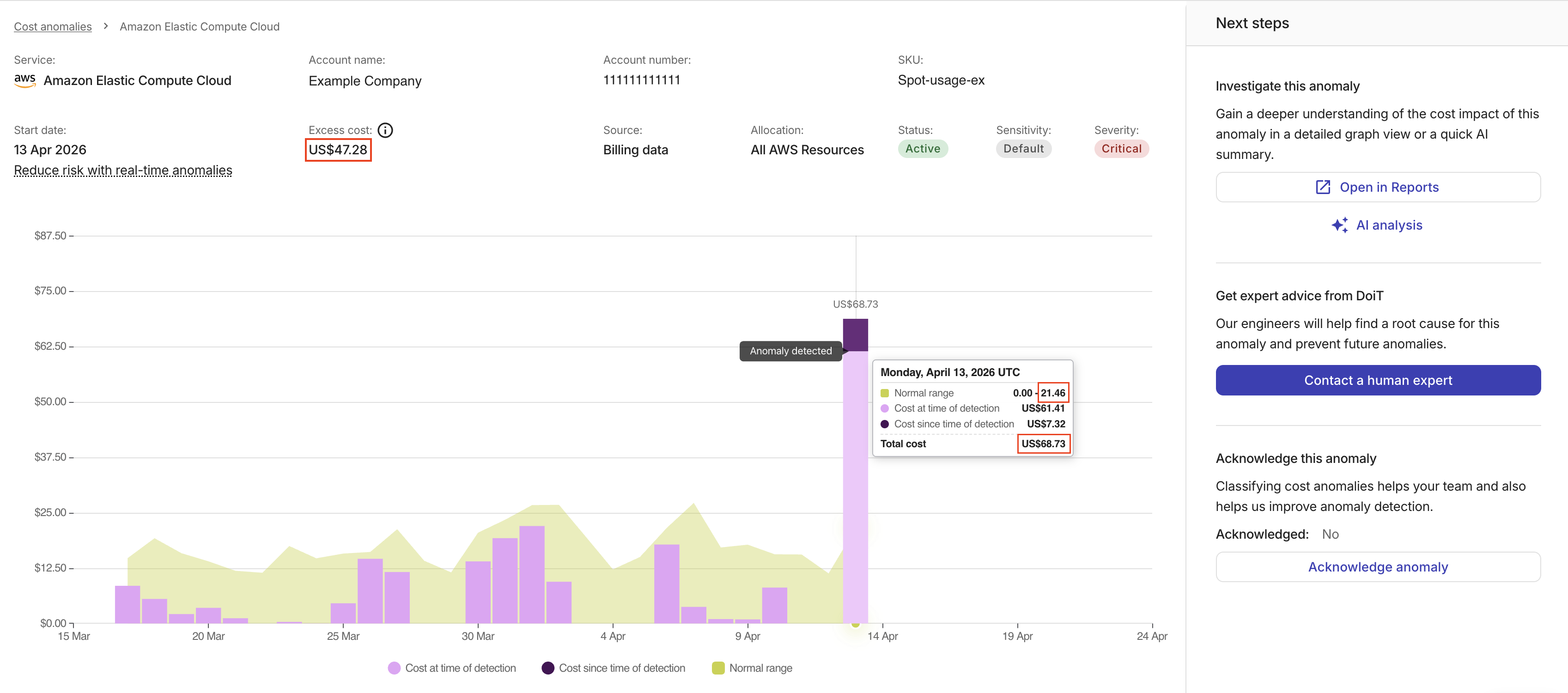 The details page of a cost anomaly