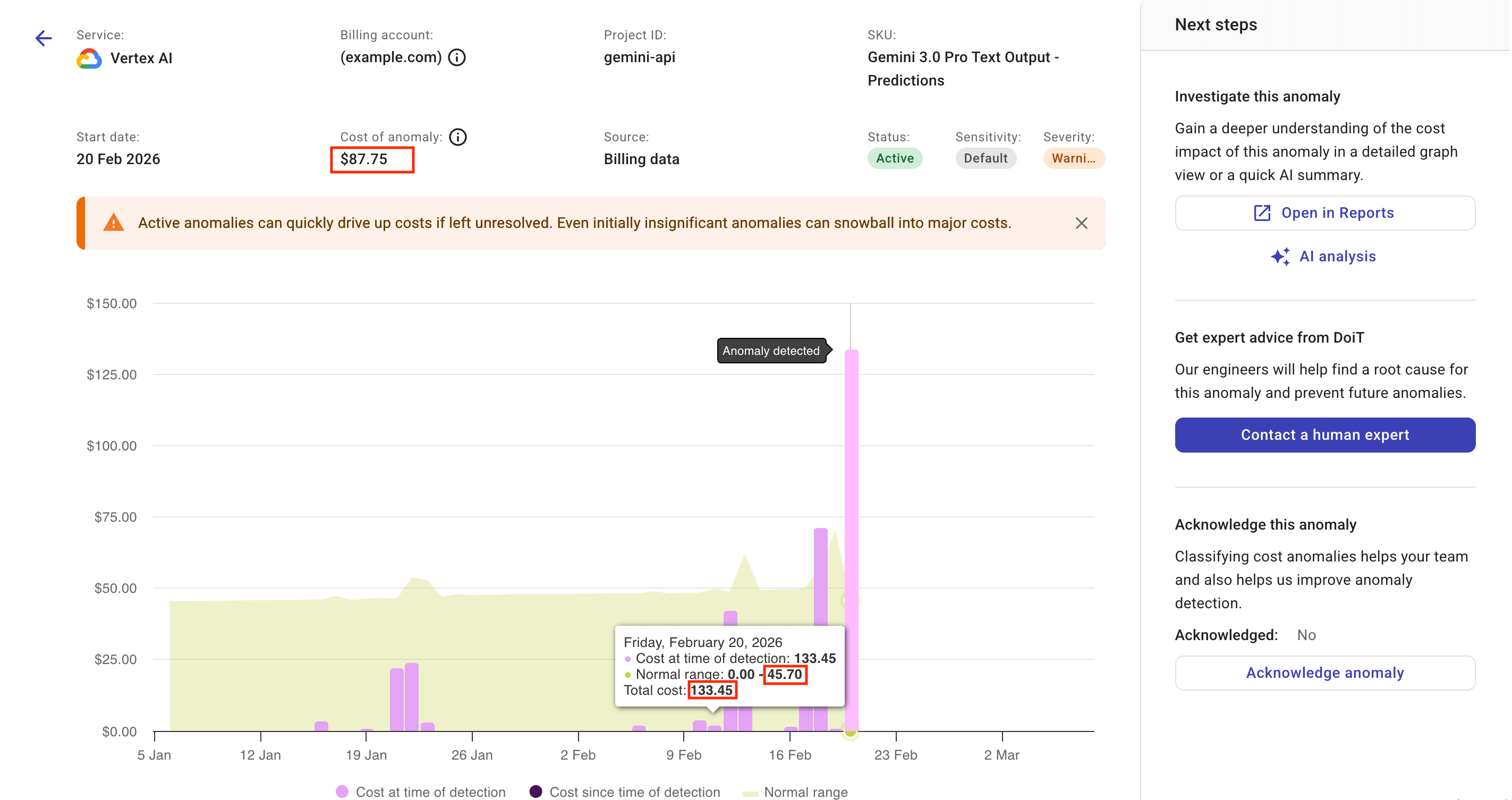 The details page of a cost anomaly
