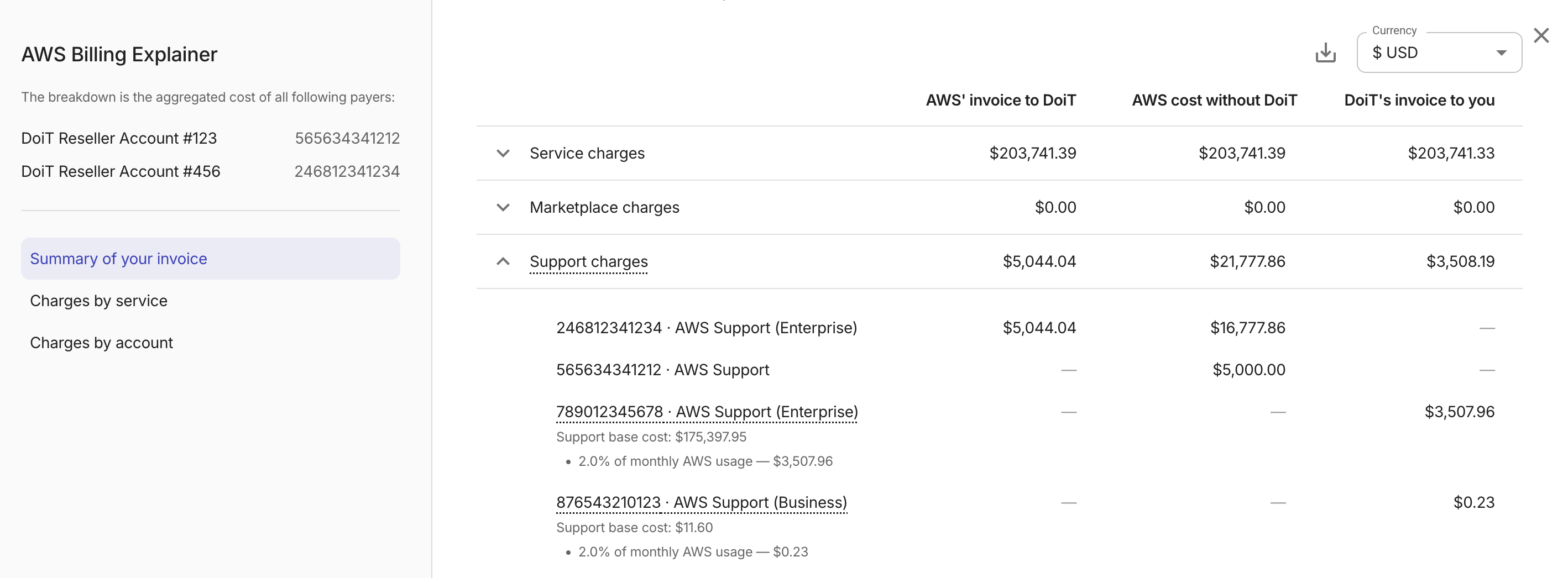 Invoice explainer summary - Support charges