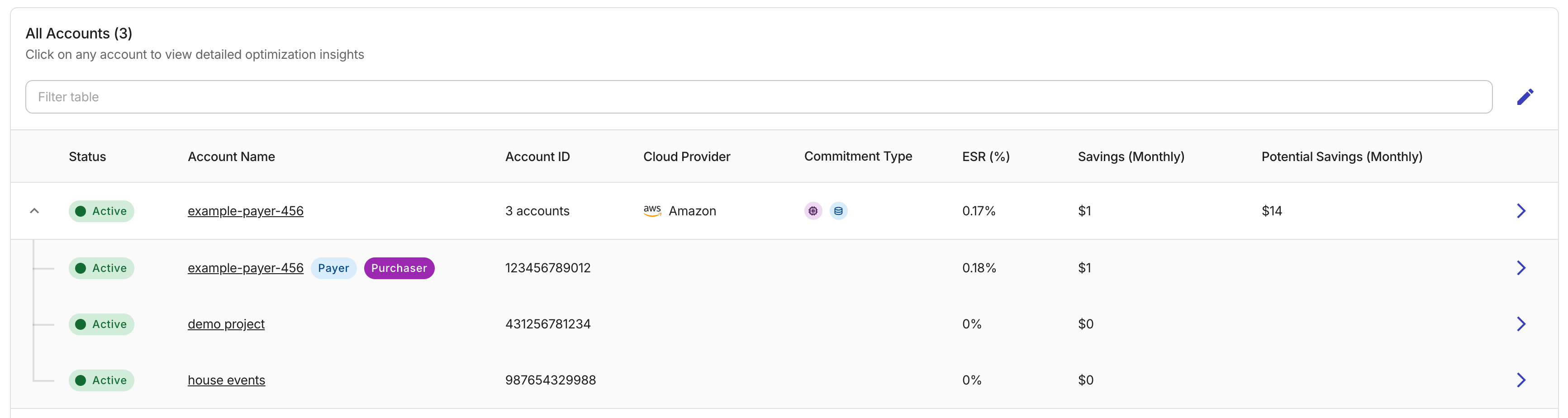 The All accounts table - AWS payer account with linked accounts.