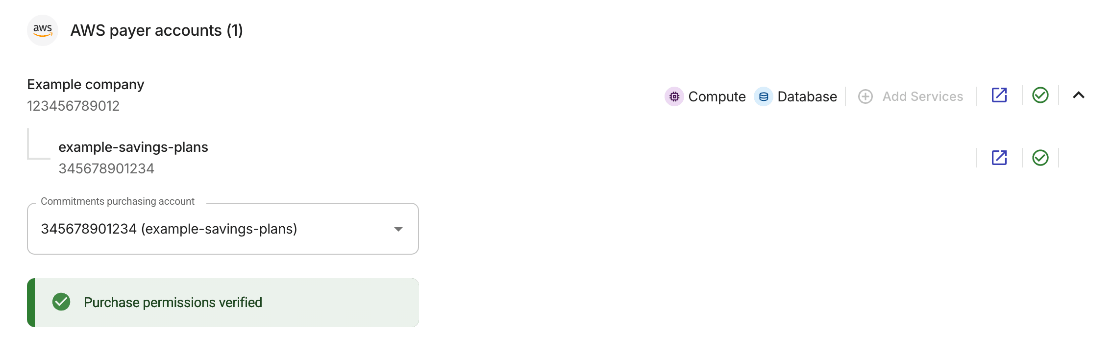 AWS payer accounts