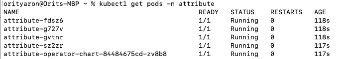 Terminal output of kubectl get pods -n attribute showing five attribute pods all in Running state with READY 1/1